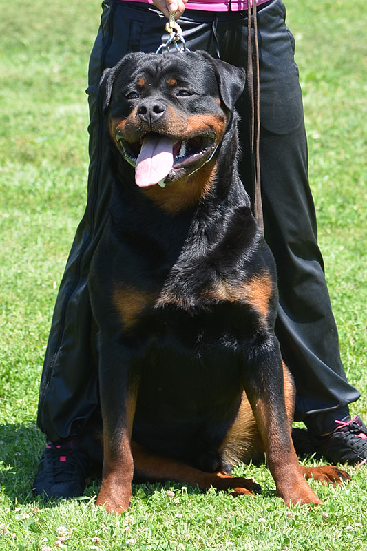 Yumbo von der Alten Festung Yumbo von der Alten Festung